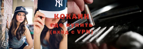 дживик Няндома